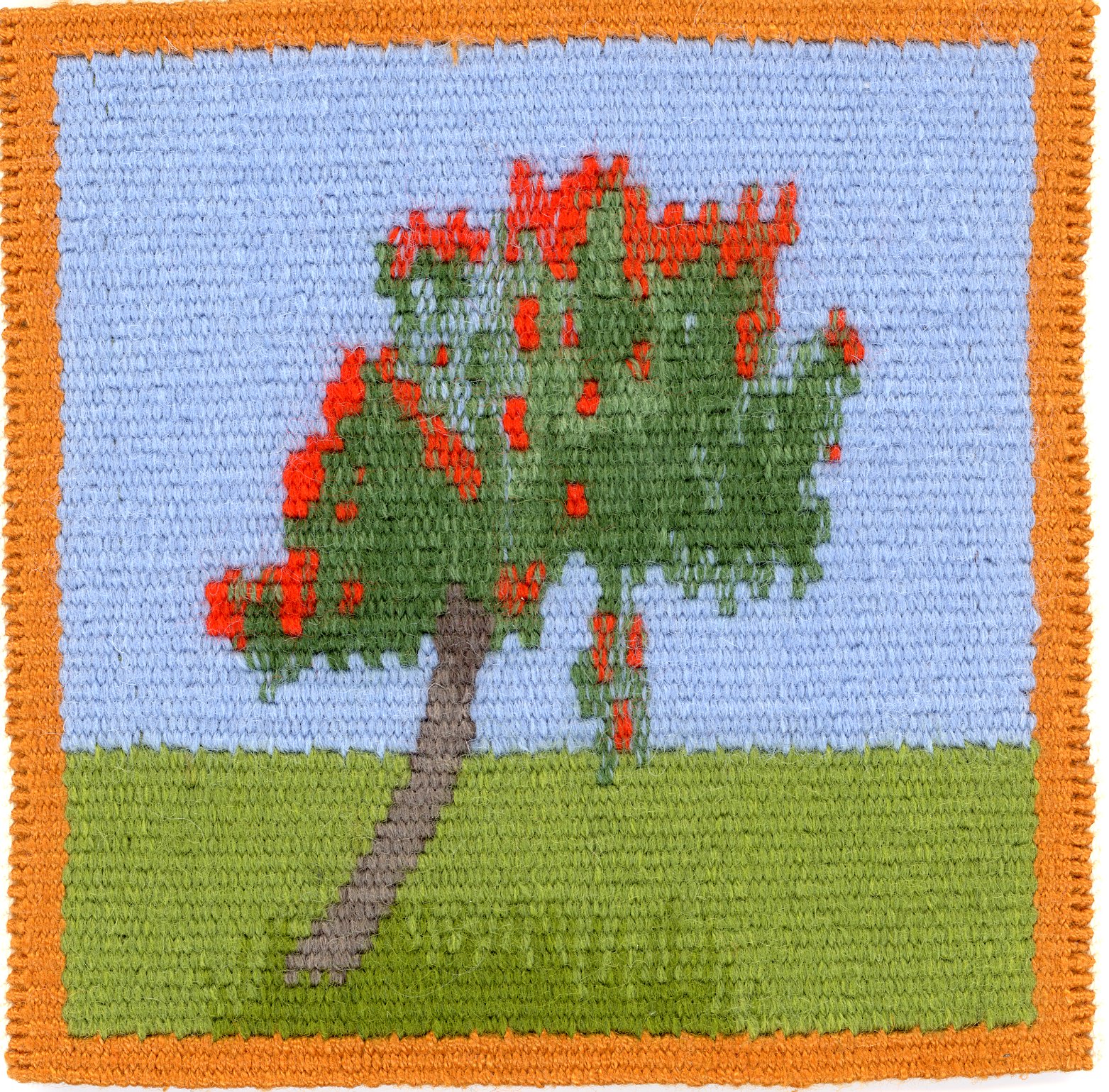 Flowering Redgum 2